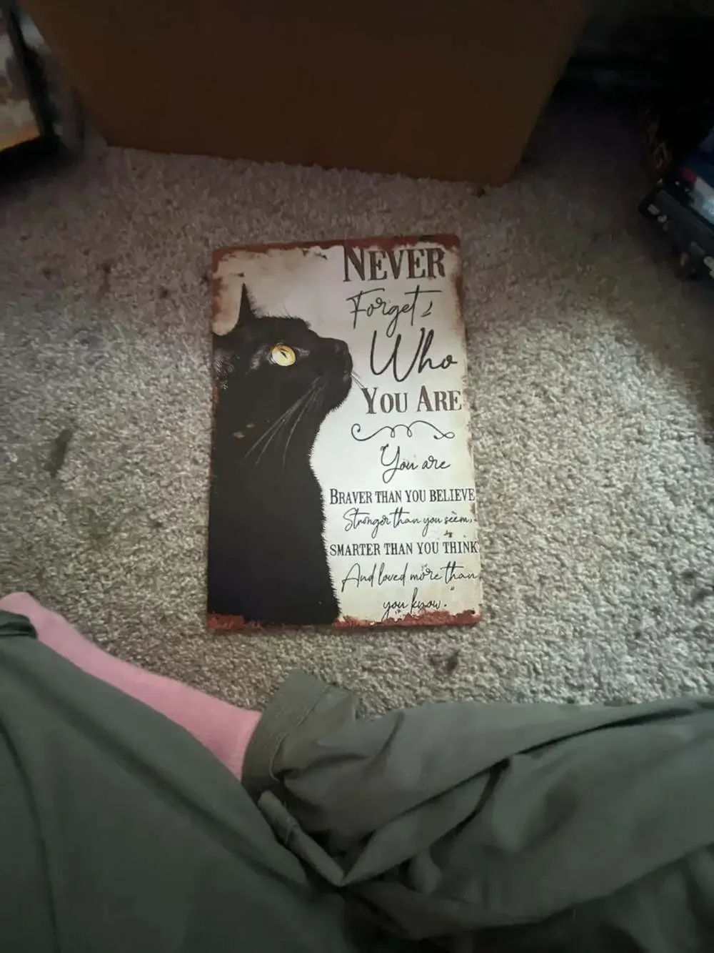 Never Forget Who You Are Black Cat Inspirational Quote Retro Metal Tin Sign